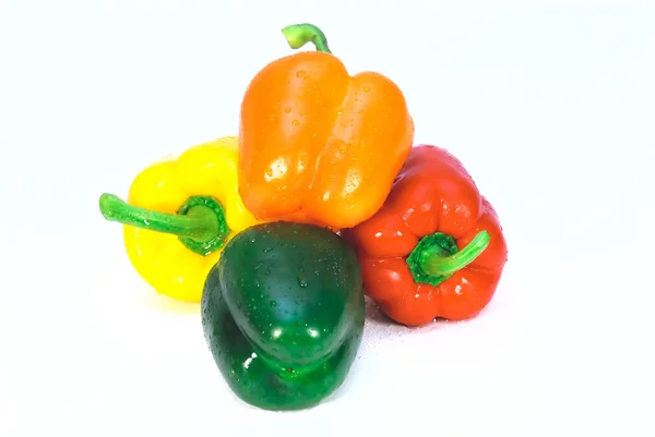 Четыре разноцветных перца на белом — стоковое фото