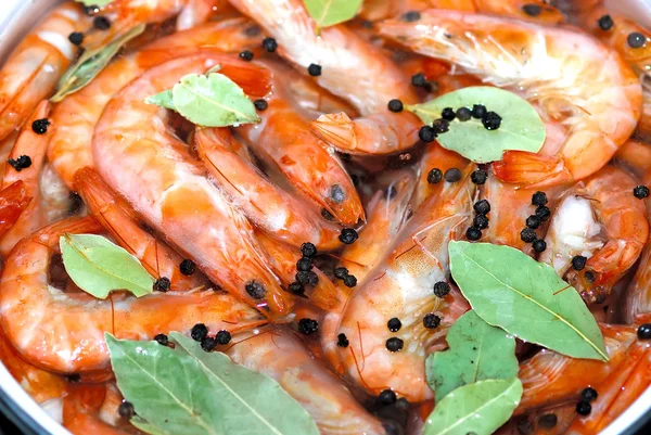 Fresh hot boiled shrimps — Stock Photo, Image