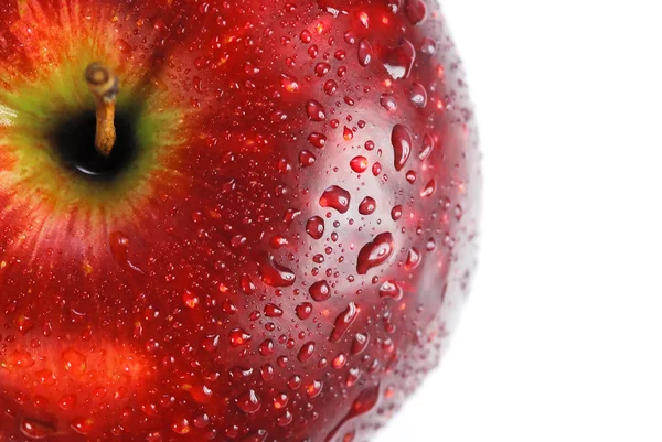 Červené jablko pokryté kapkami vody — Stock fotografie