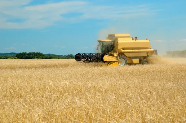 stock image Yellow modern combine on a field at the end of summer