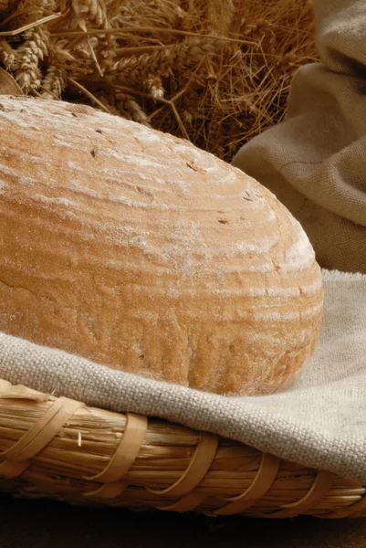 Φρεσκοψημένο ψωμί με στελέχη του σίτου — Φωτογραφία Αρχείου