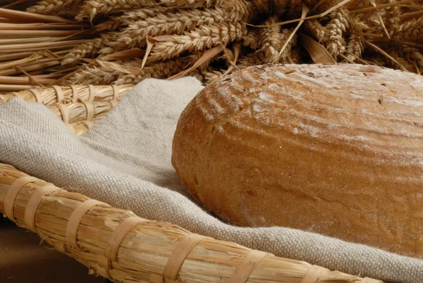 Pão fresco assado com caules de trigo — Fotografia de Stock