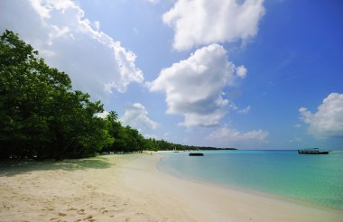 Plaj Sahnesi
