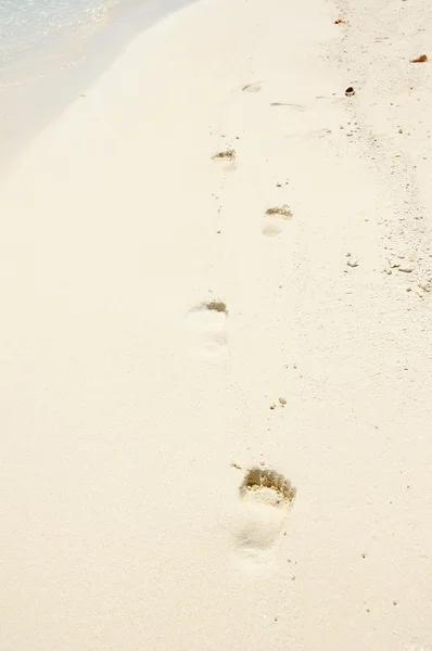 stock image Footprint at beach.