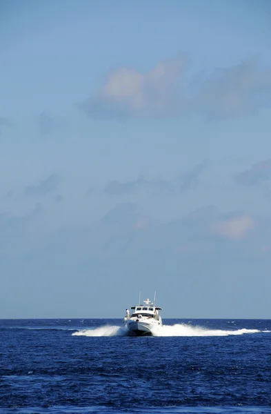 stock image Yacht