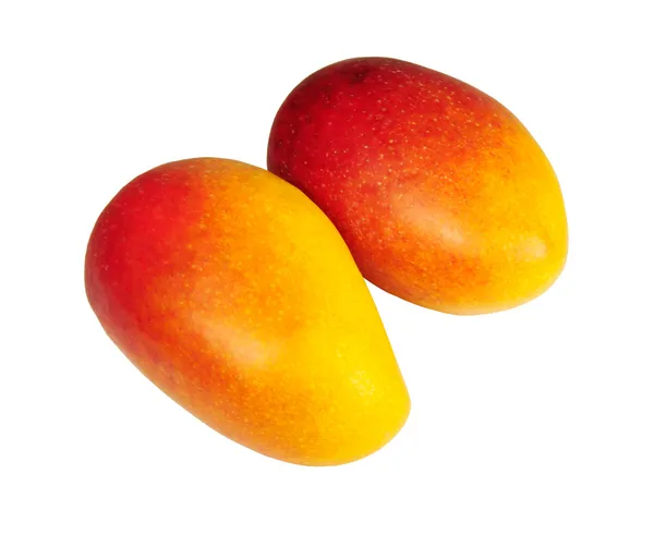 stock image Isolated Mango