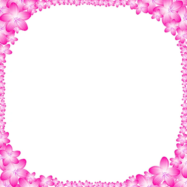 Flowers frame — Stock Photo, Image