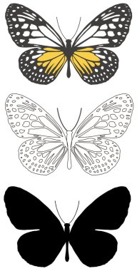 Butterfly clipart