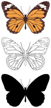 Butterfly clipart