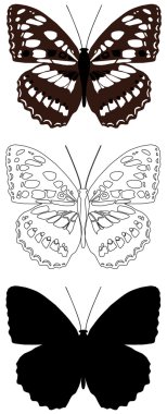 Butterfly clipart