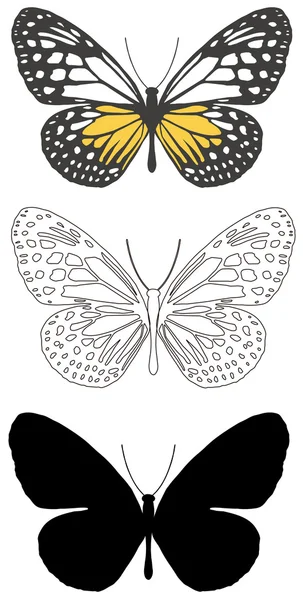 Mariposa. — Vector de stock