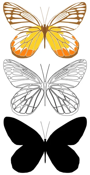 Butterfly — Stock Vector