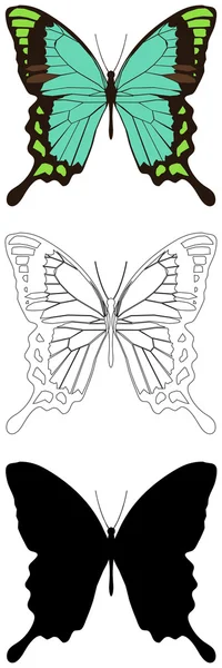 나비 — 스톡 벡터