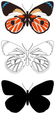 Butterfly clipart