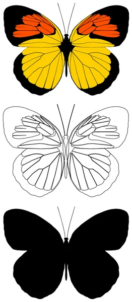 Motýl — Stockový vektor