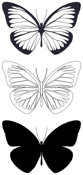 Motýl — Stockový vektor