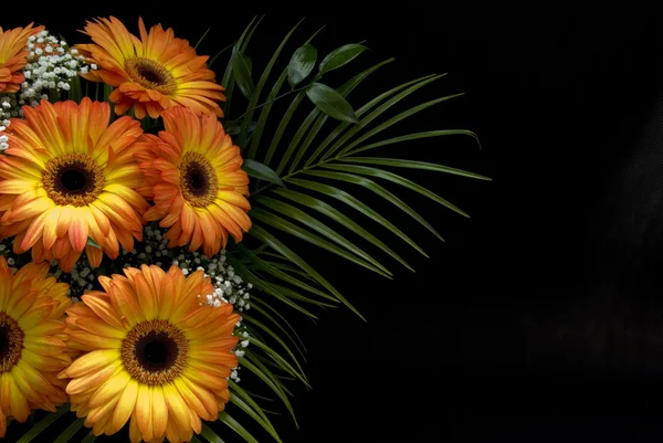 stock image Bouquet