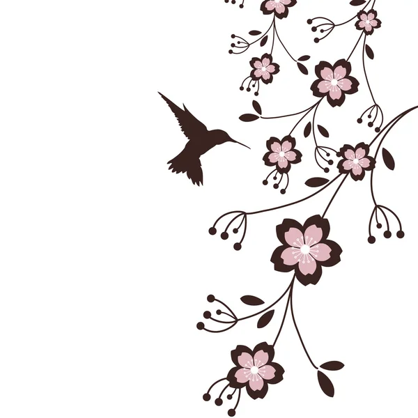 Hummingbird & Sakura — Stock Vector