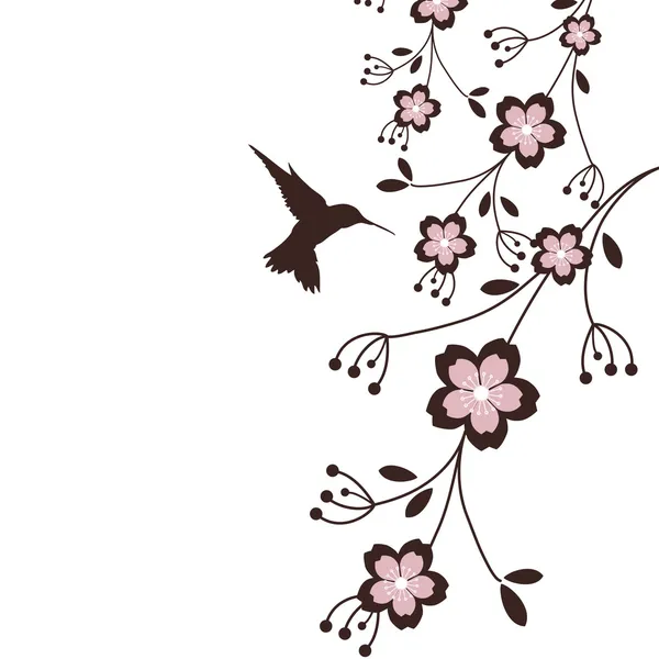 Sinek kuşu ve Sakura Telifsiz Stok Vektörler
