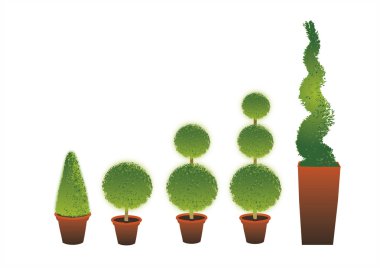 Topiary Shrubs clipart