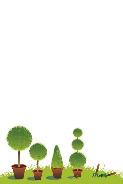Garten-Topiary — Stockfoto