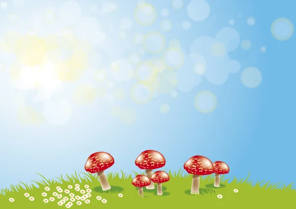 stock image Toadstools