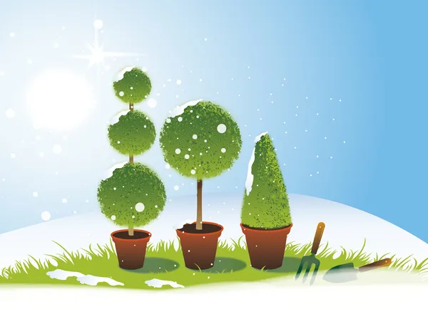 Winter Topiary — Stockfoto