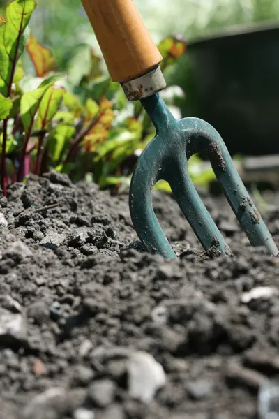 Jardinage urbain — Photo