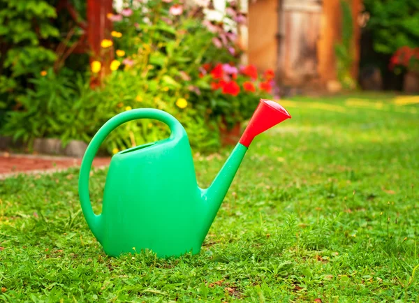 stock image Can in the garden