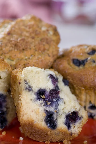 Muffin de arándanos — Foto de Stock