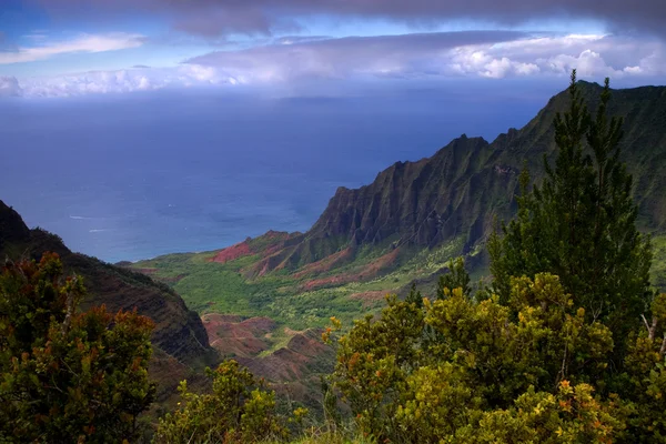 stock image Napali coastline