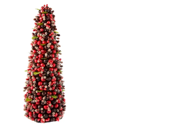 stock image Red Berry Tree