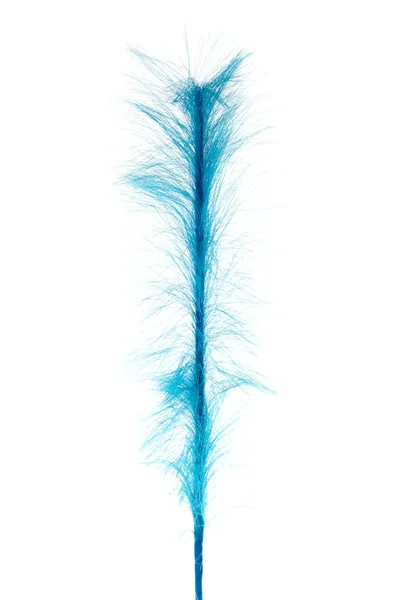 stock image Blue decoration from feathers