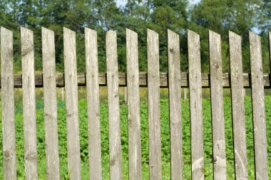 Old wooden fence clipart