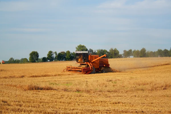 Field Works — Stock Photo, Image