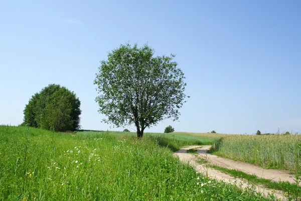 stock image Road