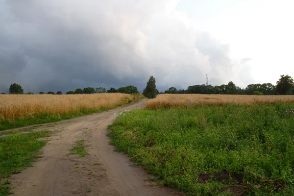 Stormy Clouds Over Field — Stock Photo, Image