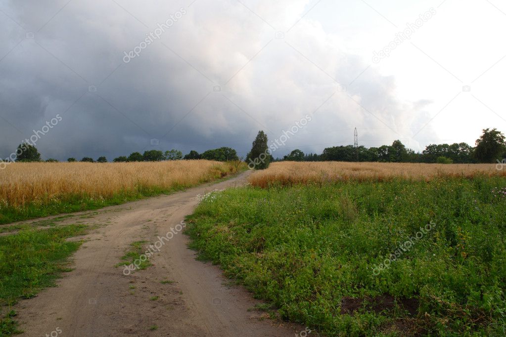 Stormy Clouds Over Field