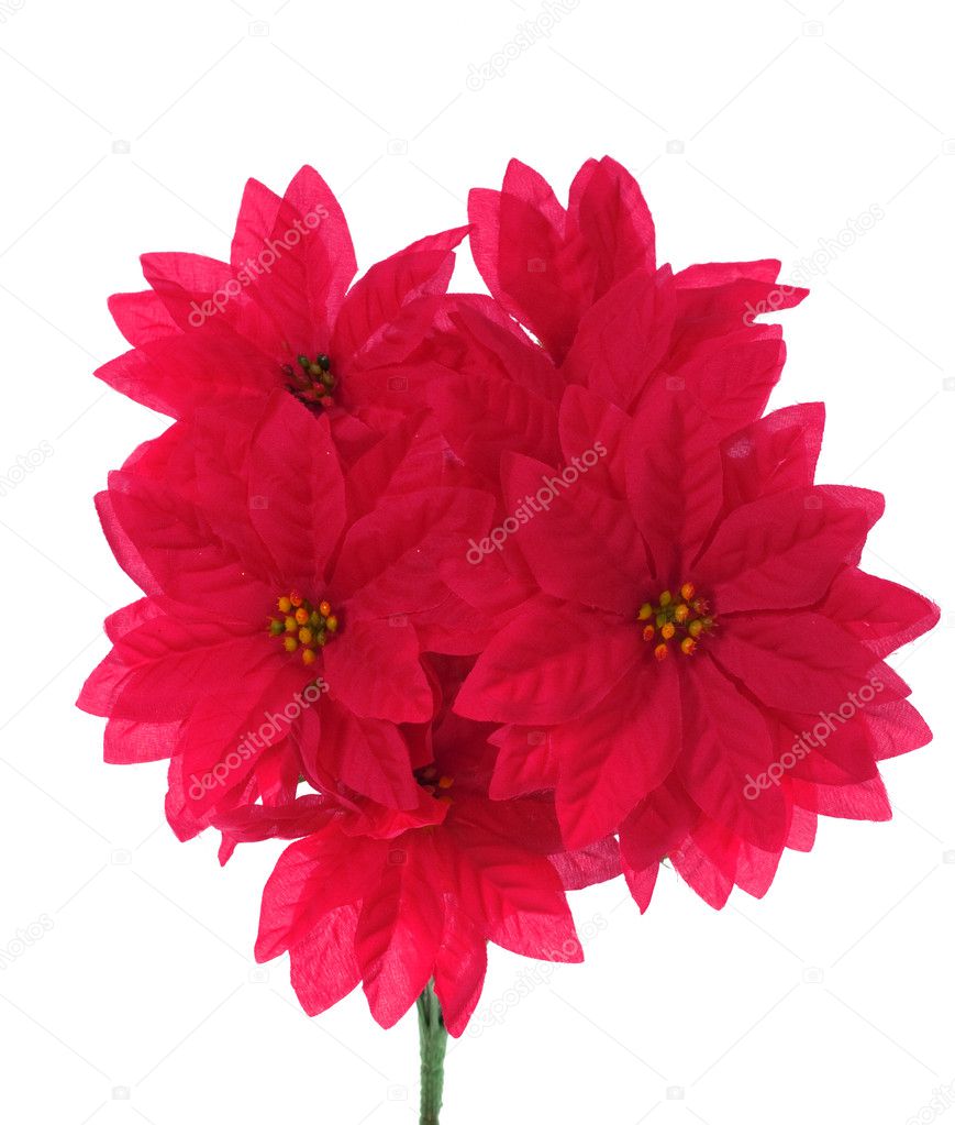 Bouquet of artificial red flowers