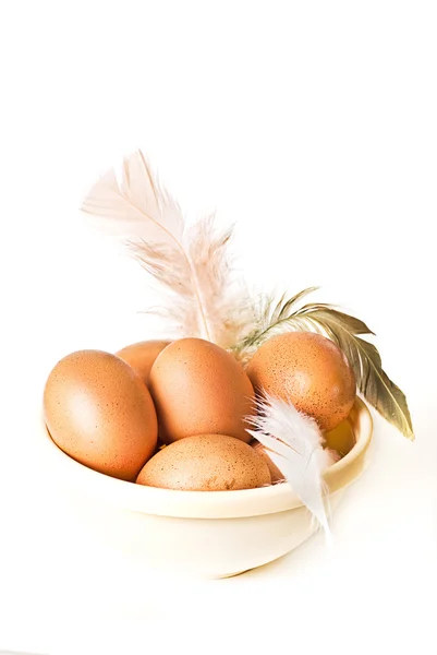 Huevos y plumas —  Fotos de Stock