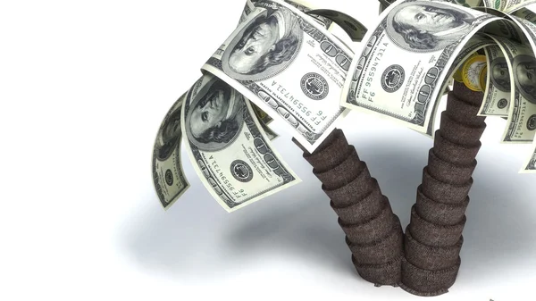 Money growing on trees — Stock Photo, Image