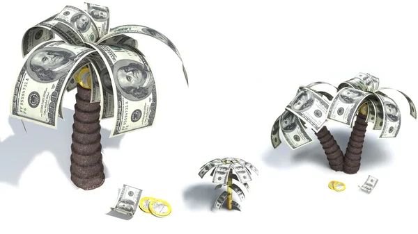 A rooted tree with a dollars — Stock Photo, Image
