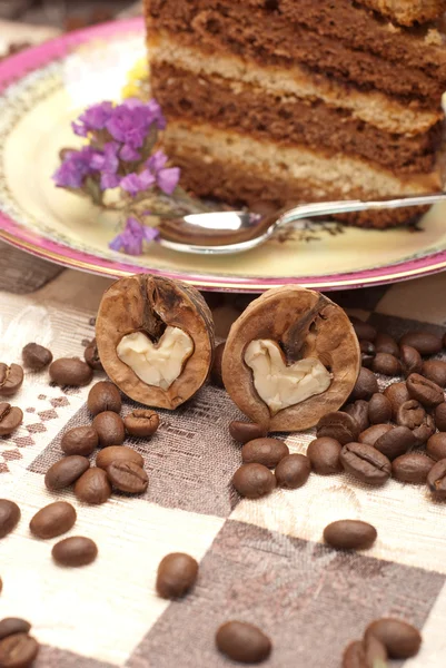 Torta és nut — Stock Fotó
