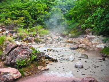 Volcanic mud pool clipart