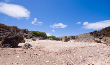 Rocky beach clipart