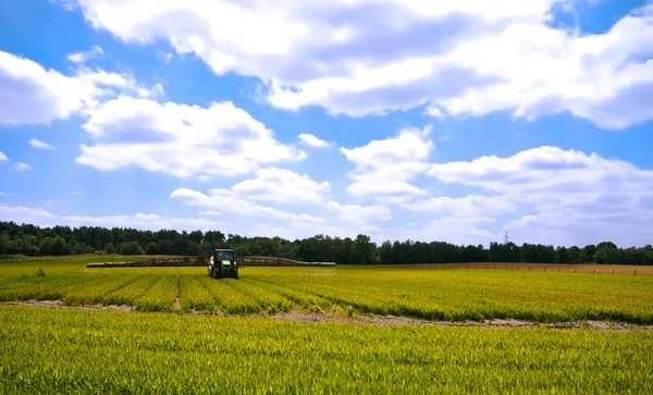 Bright green agriculture farmland — Stock Photo, Image