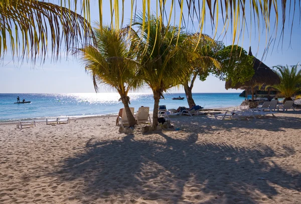 Caribe sombra palma praia — Fotografia de Stock