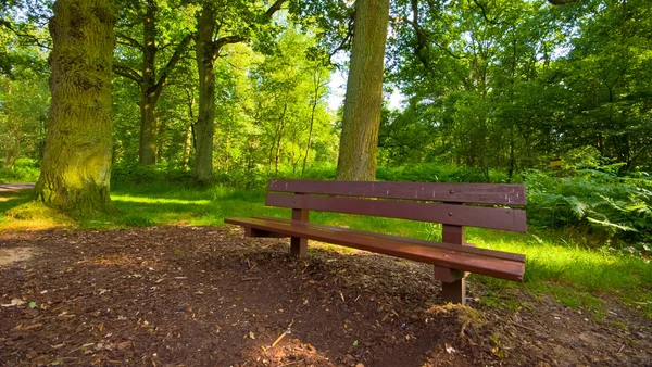 Park bench — Stock Photo, Image