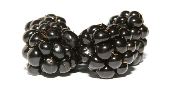 Blackberries на белом фоне — стоковое фото