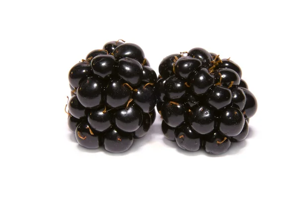 两个黑莓 — 图库照片